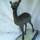 Regule Impala by Rochard