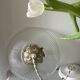 Suspension verre holophane