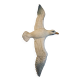 Old seagull to hang
