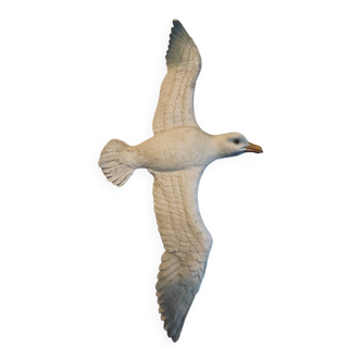 Old seagull to hang