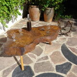 Elm tree trunk coffee table