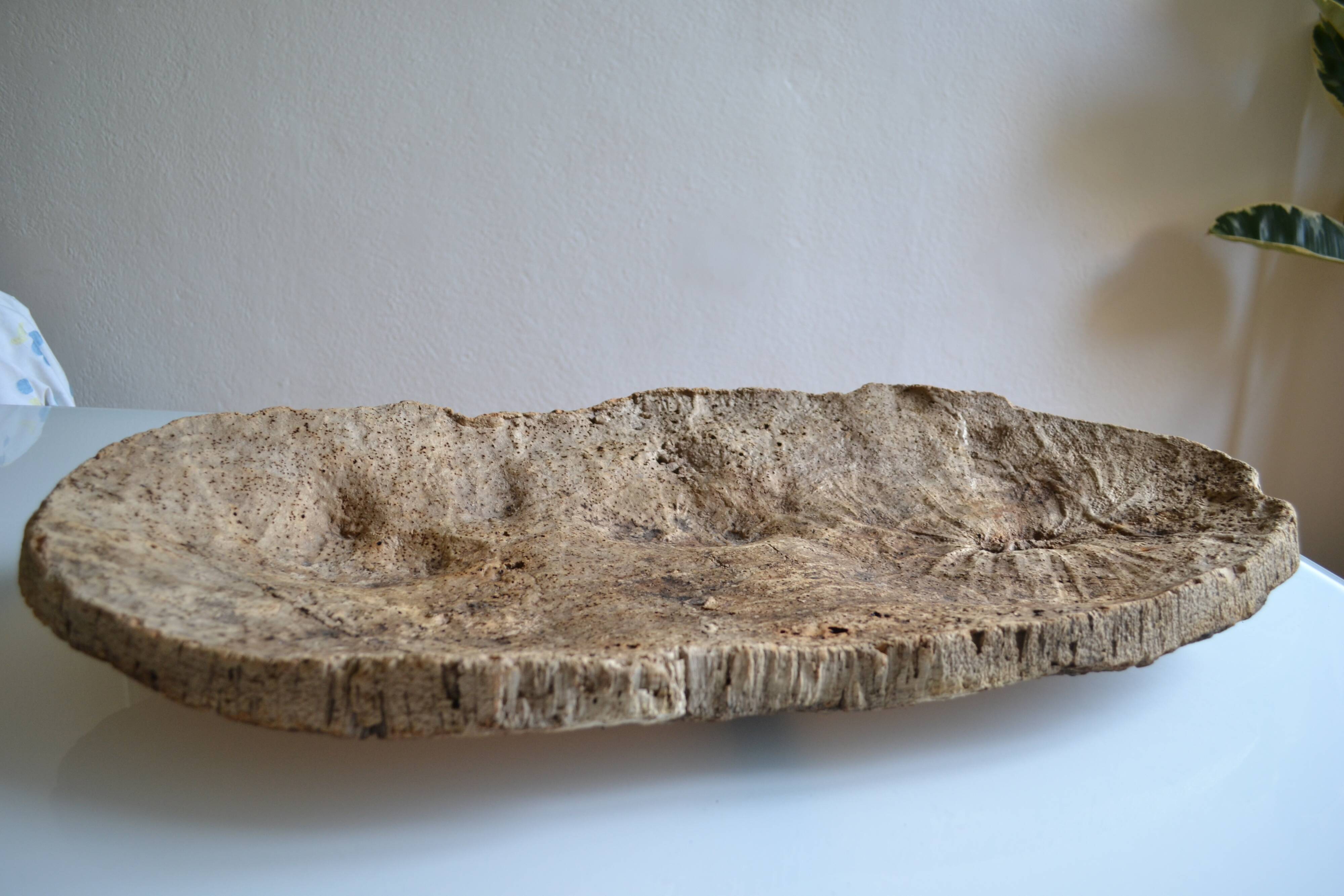 Provençal couasse giant dish in cork oak bark 72 / 37 cm