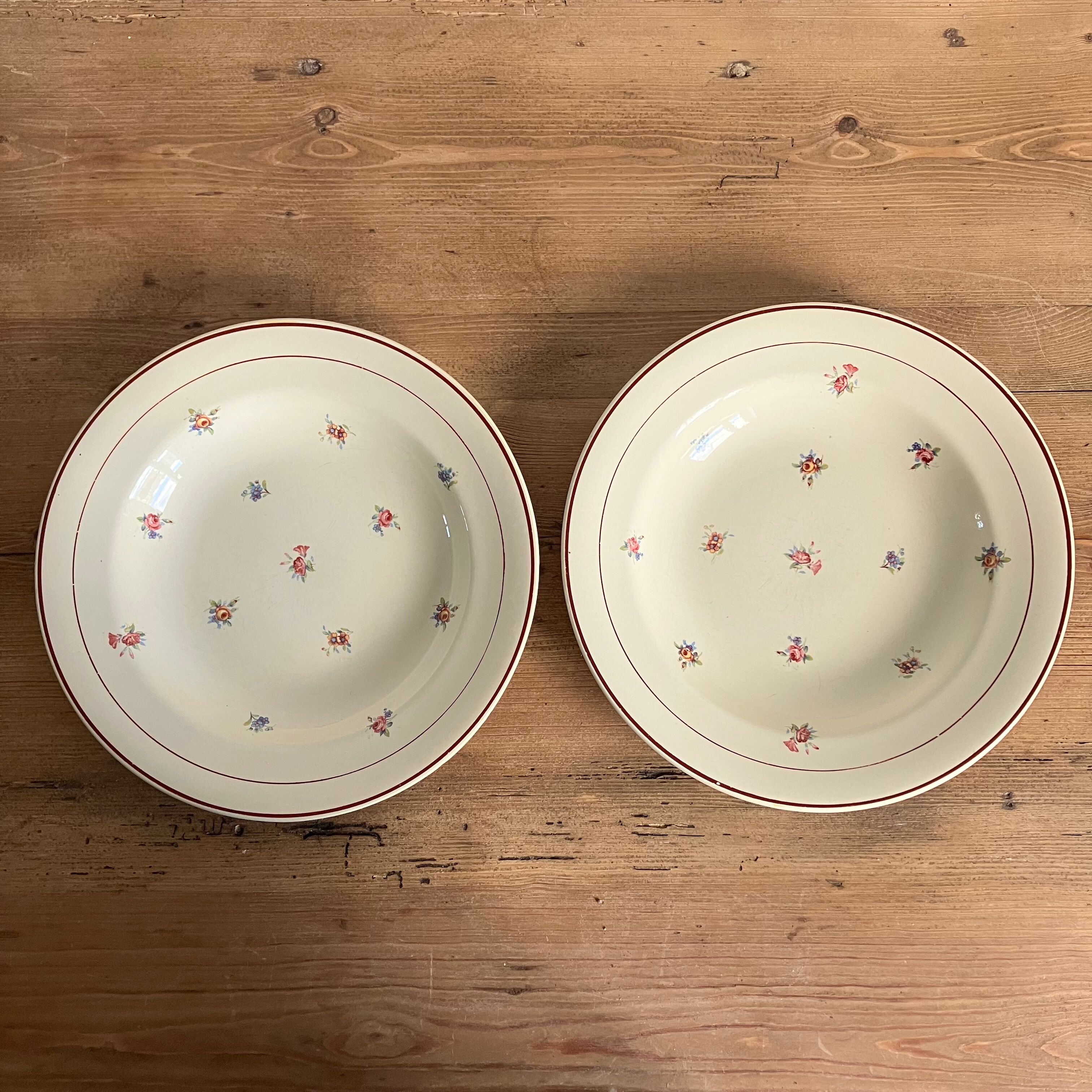 2 hollow plates Salins floral décor