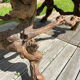 Vintage brutalist coffee table