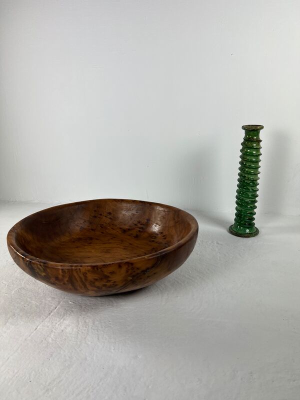 Plat xxl en racine de tuya