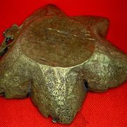 Vide poche bronze feuille