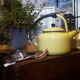 Old kettle enamelled pale yellow