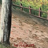 Landscape at the mill painting