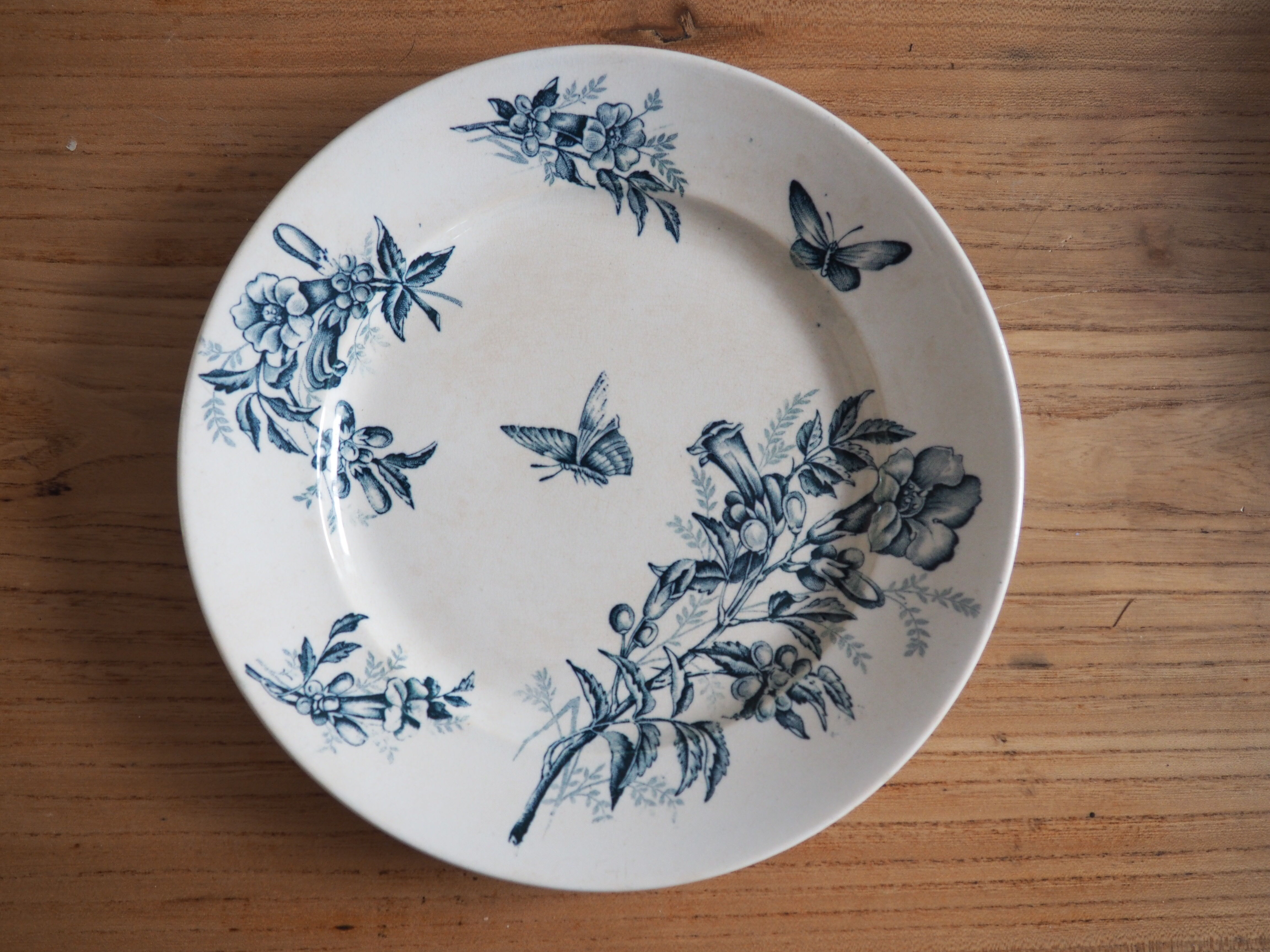 Old Badonviller Plates