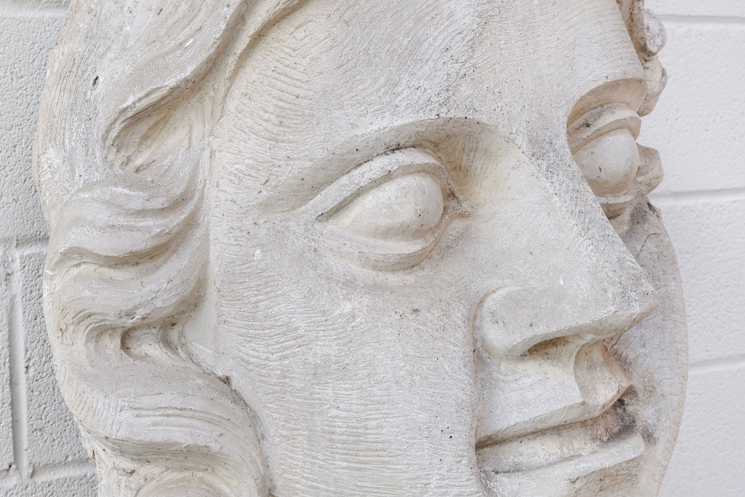 Northern giant plaster mold