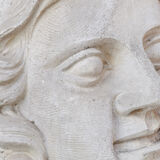 Northern giant plaster mold