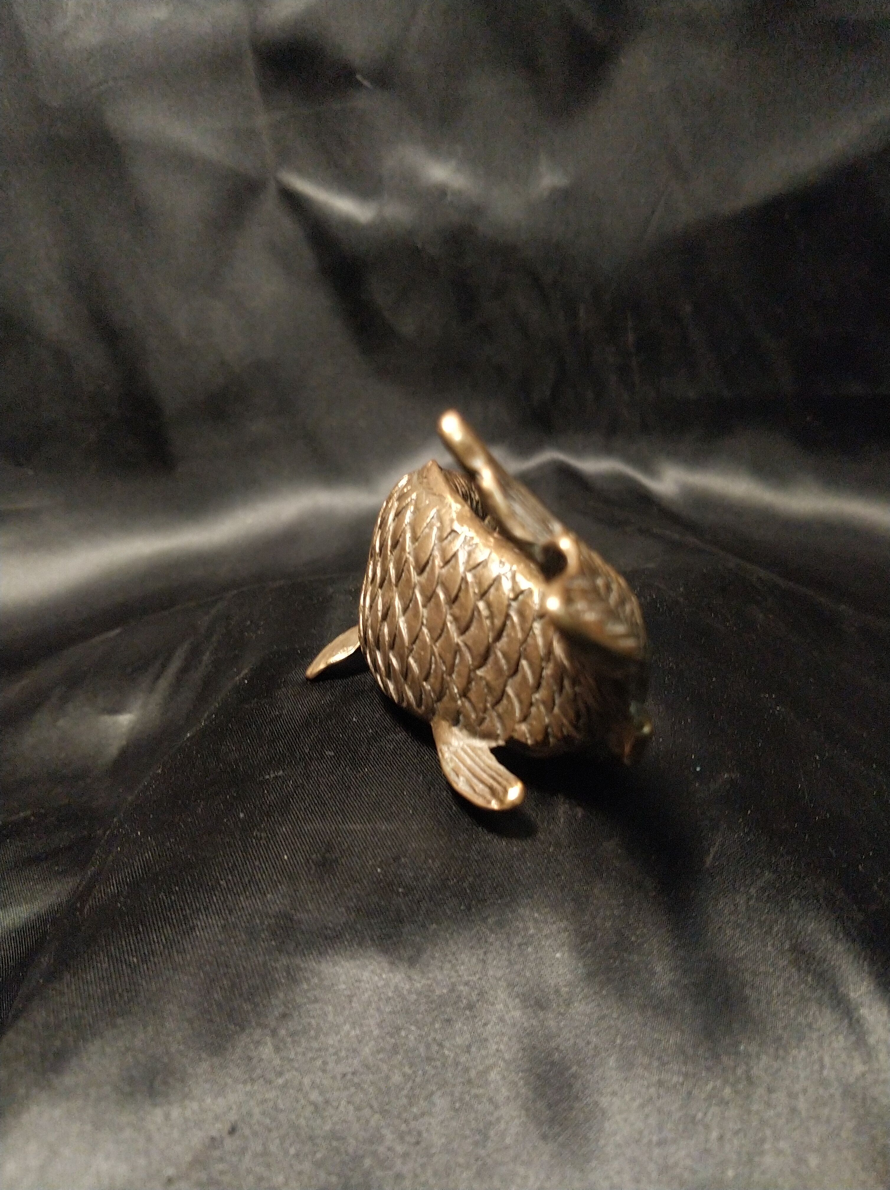 Bronze koi carp fish