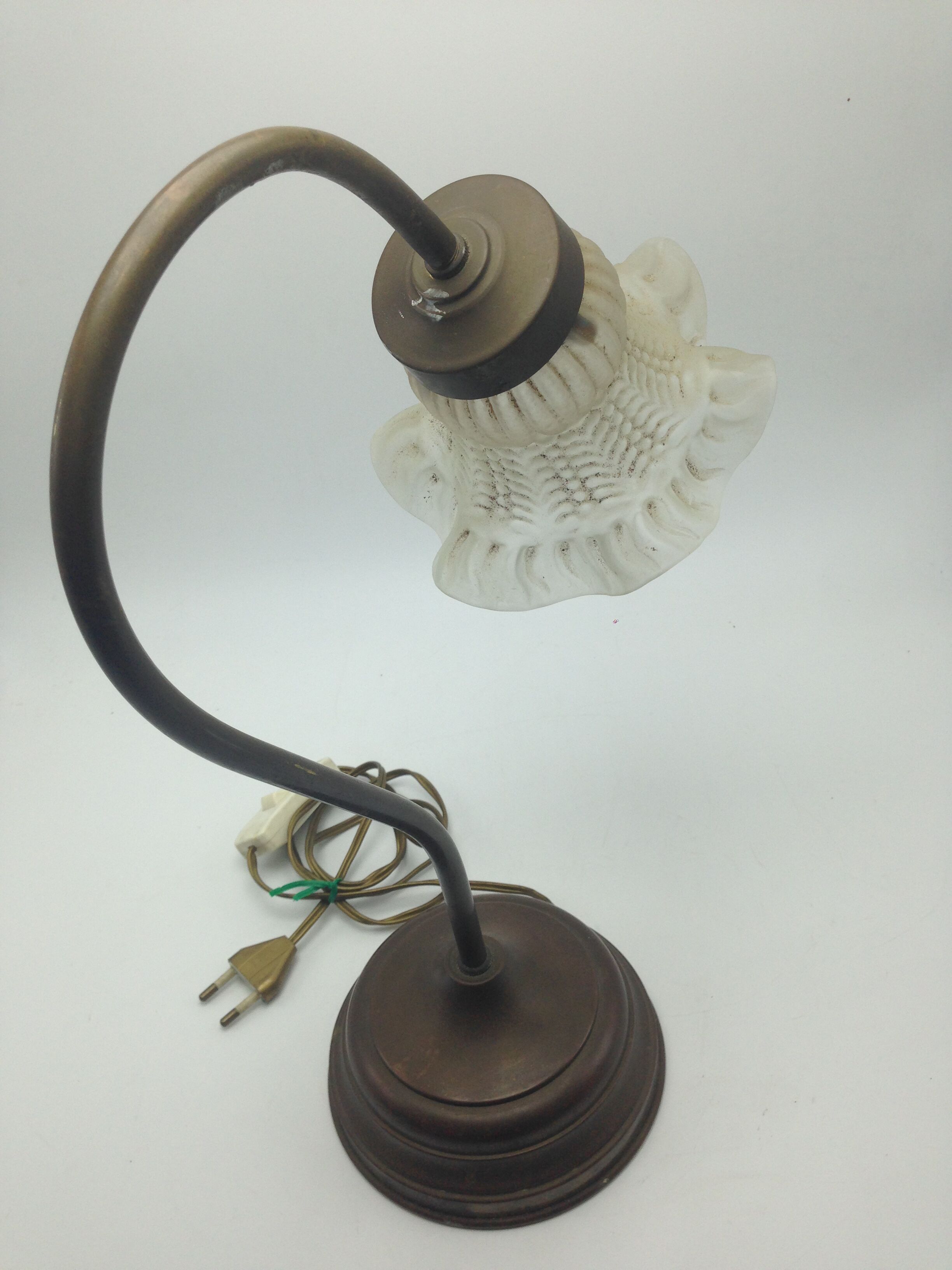 Old brass with tulip gooseneck light