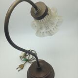 Old brass with tulip gooseneck light