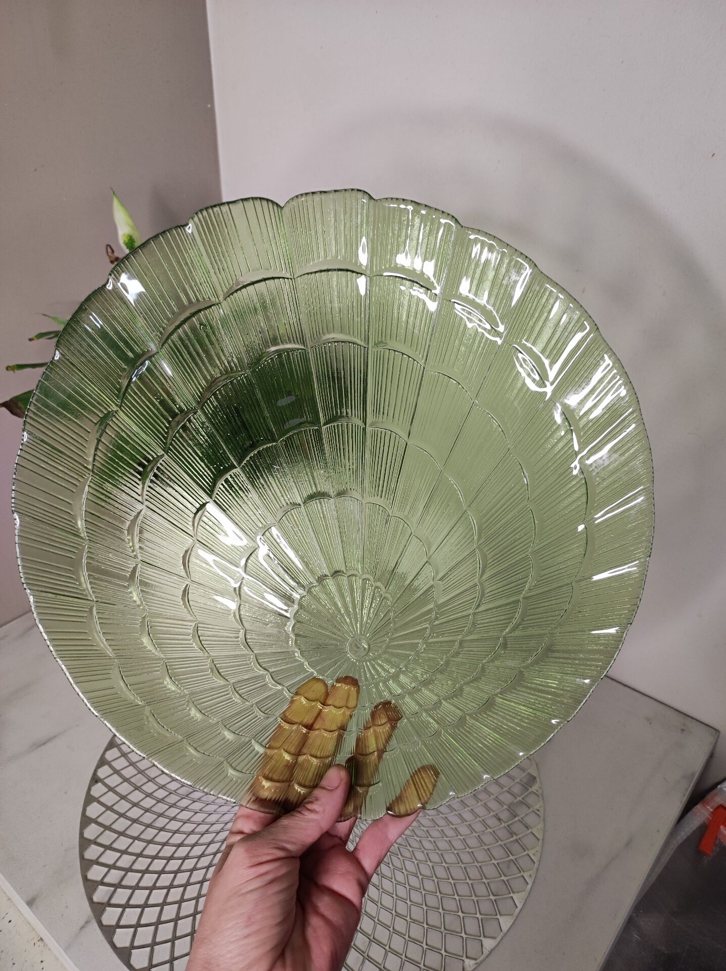 Large spiral dish