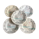 5 plates of English earthenware