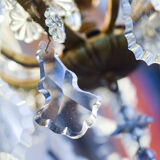 Classic French chandelier with grapevines
