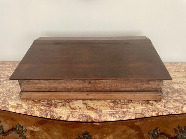 Nineteenth century oak travel writer