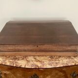 Nineteenth century oak travel writer