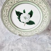Vintage plate from the royal horticultural society applebee collection of england