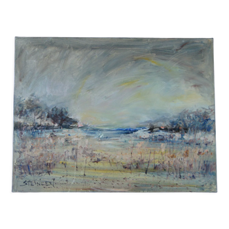 Huile sur toile signée, Aimé Daniel Steinlen (1923-1996)  "Les eaux dormantes"