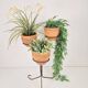 Brutalist Wrought Iron Plant Stand with Handmade Terracotta Pots, 1970s, Set of 4