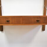 Scandinavian teak library