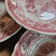 10 flat plates Burgenland