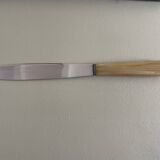 Set of 12 antique knives in green case
