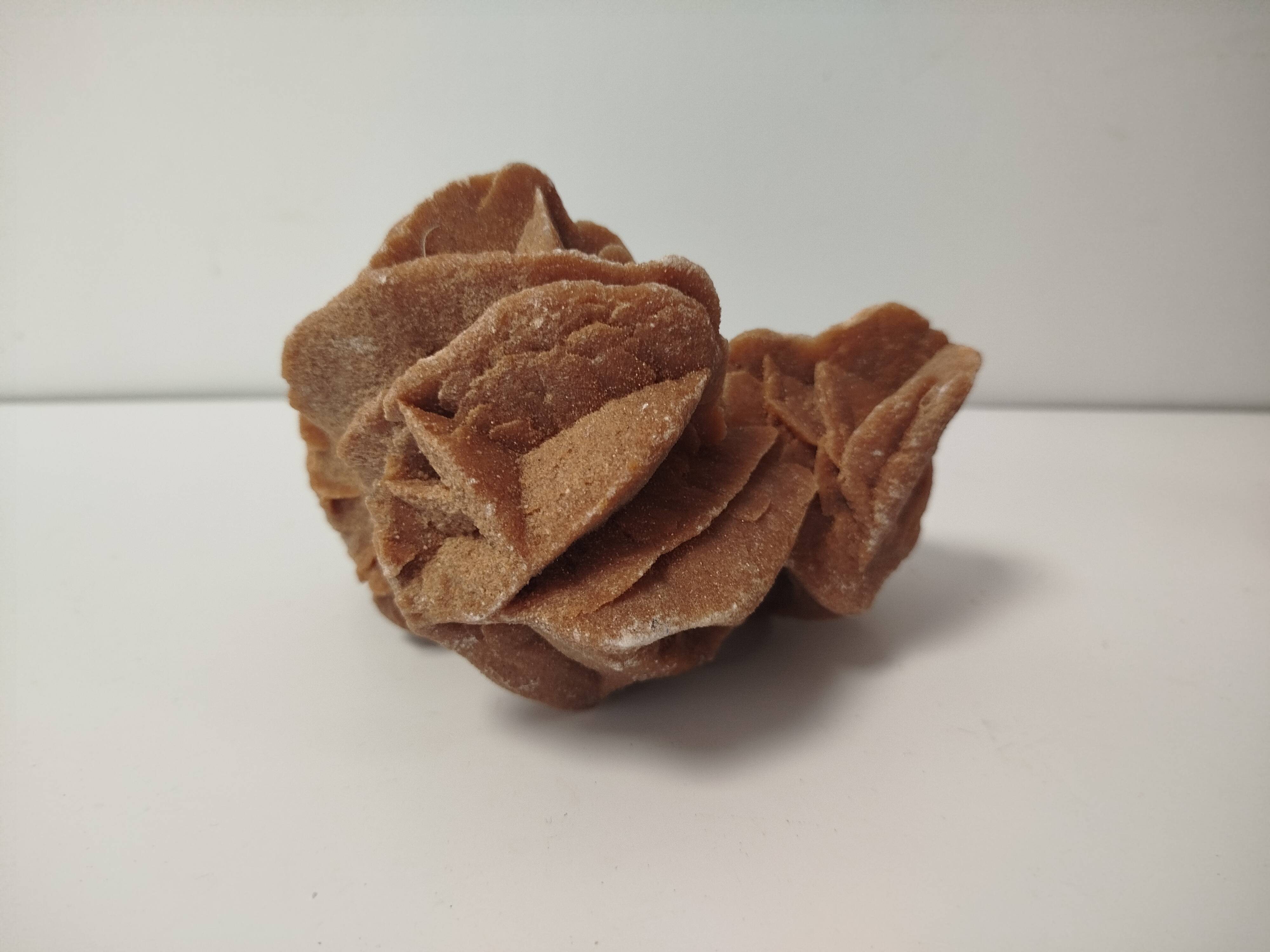 Rose des sables naturelle sculptée par le vent – pièce minérale décorative