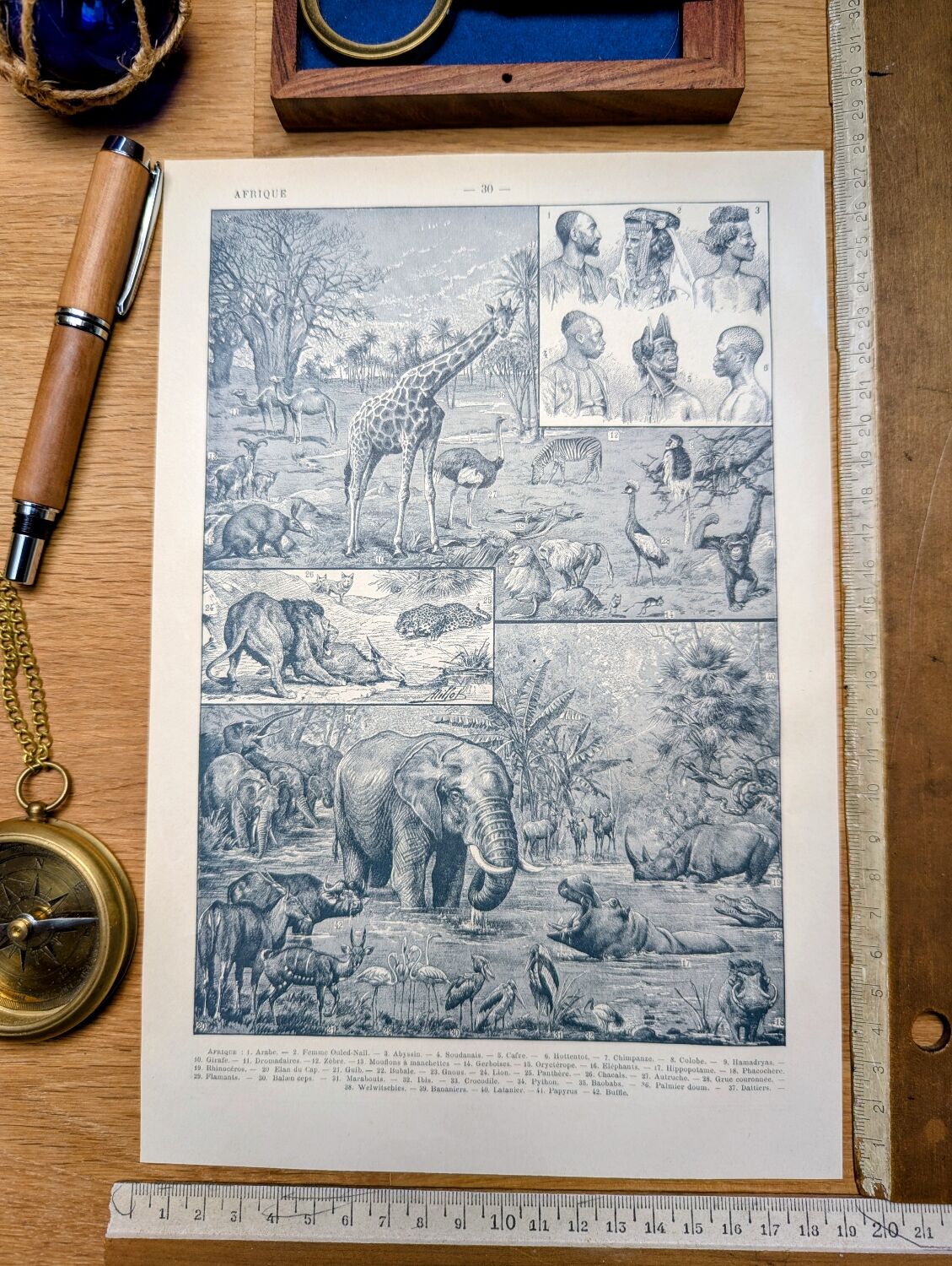Printed in 1921, engravings of Africa.