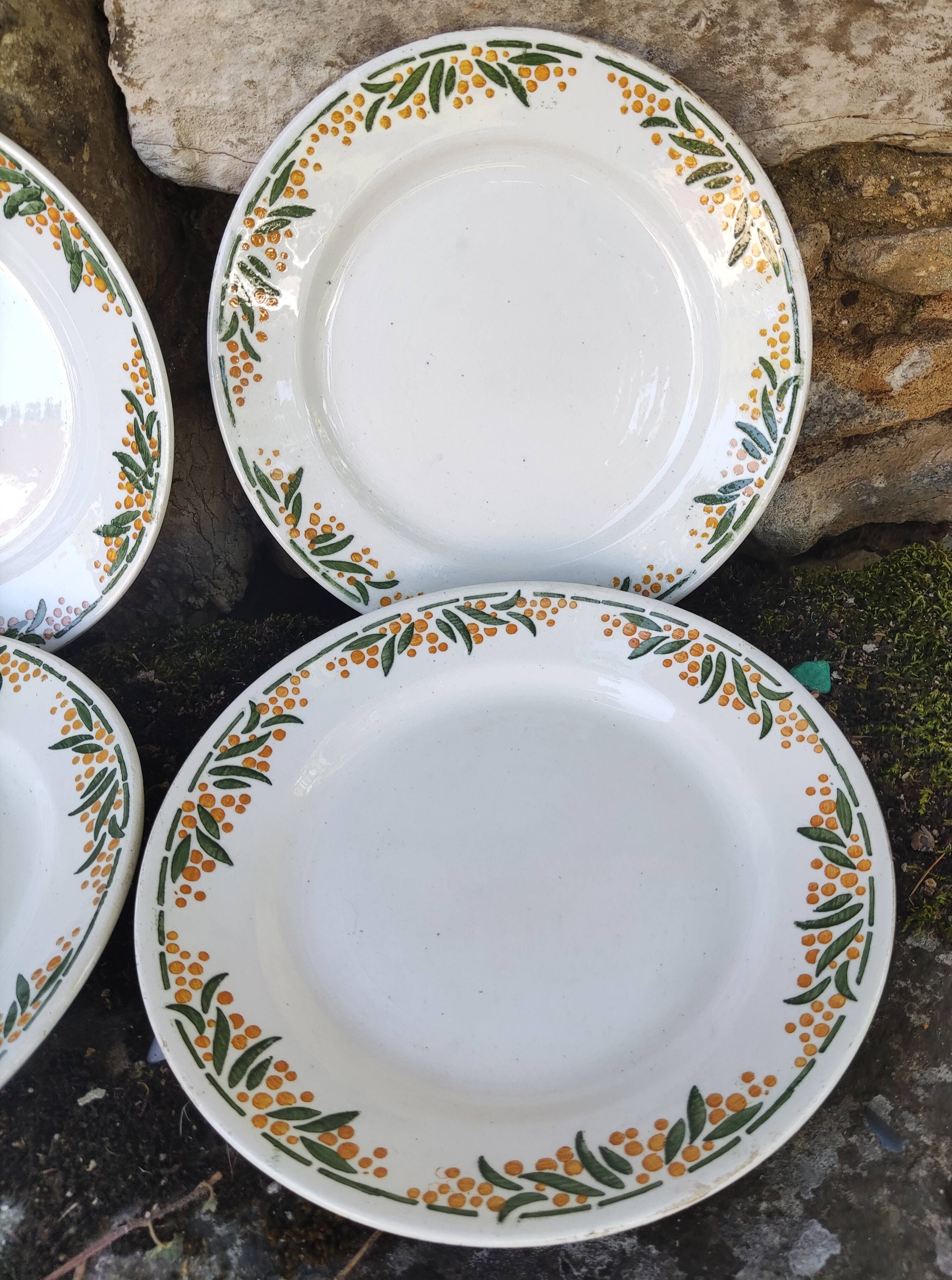 6 Mimosa HBCM dessert plates