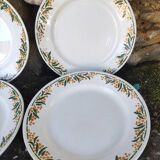 6 Mimosa HBCM dessert plates