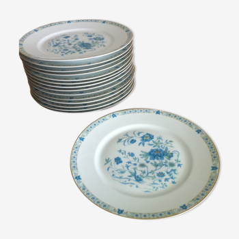 Set de 15 assiettes plates  Haviland modèle Nankin