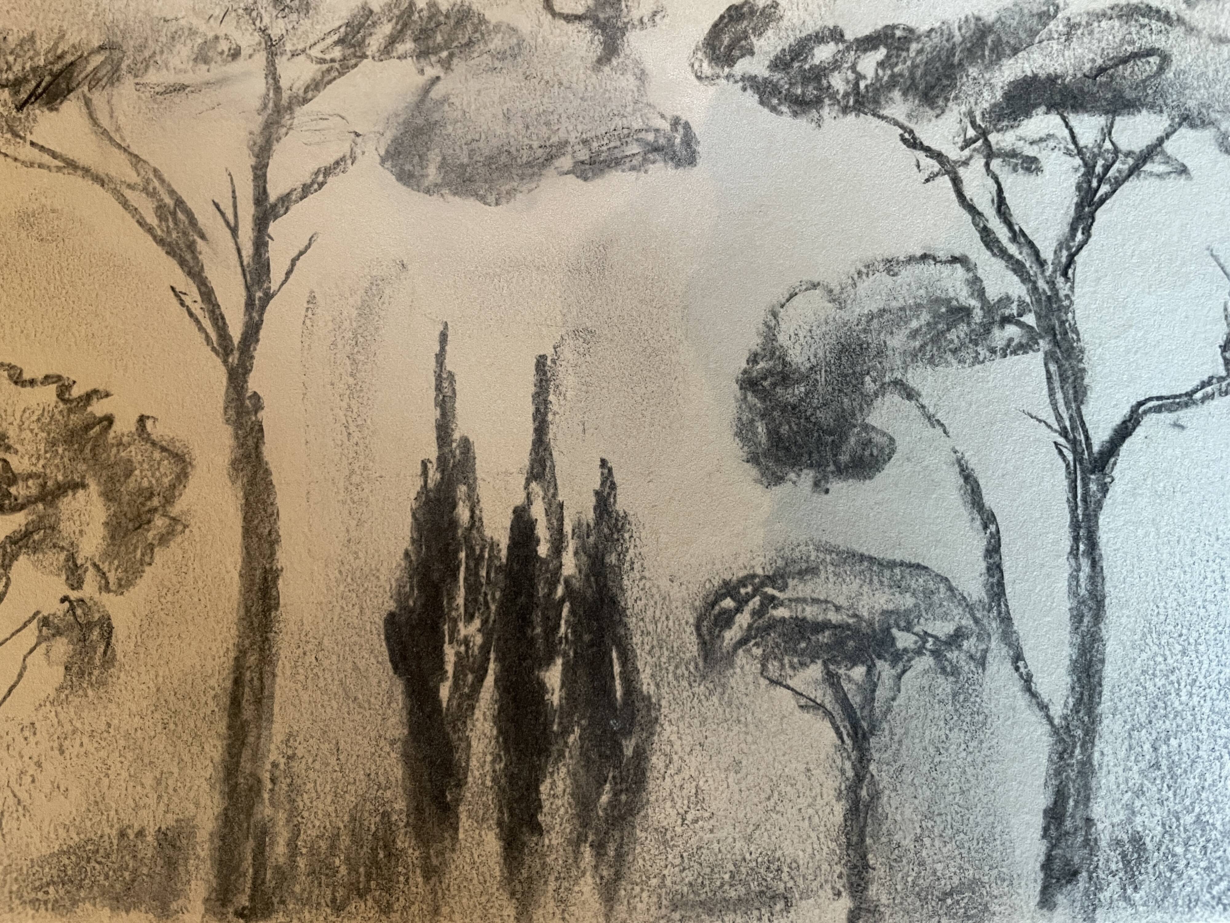 Charcoal painting signed “landscape of Provence” umbrella pines