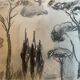 Charcoal painting signed “landscape of Provence” umbrella pines