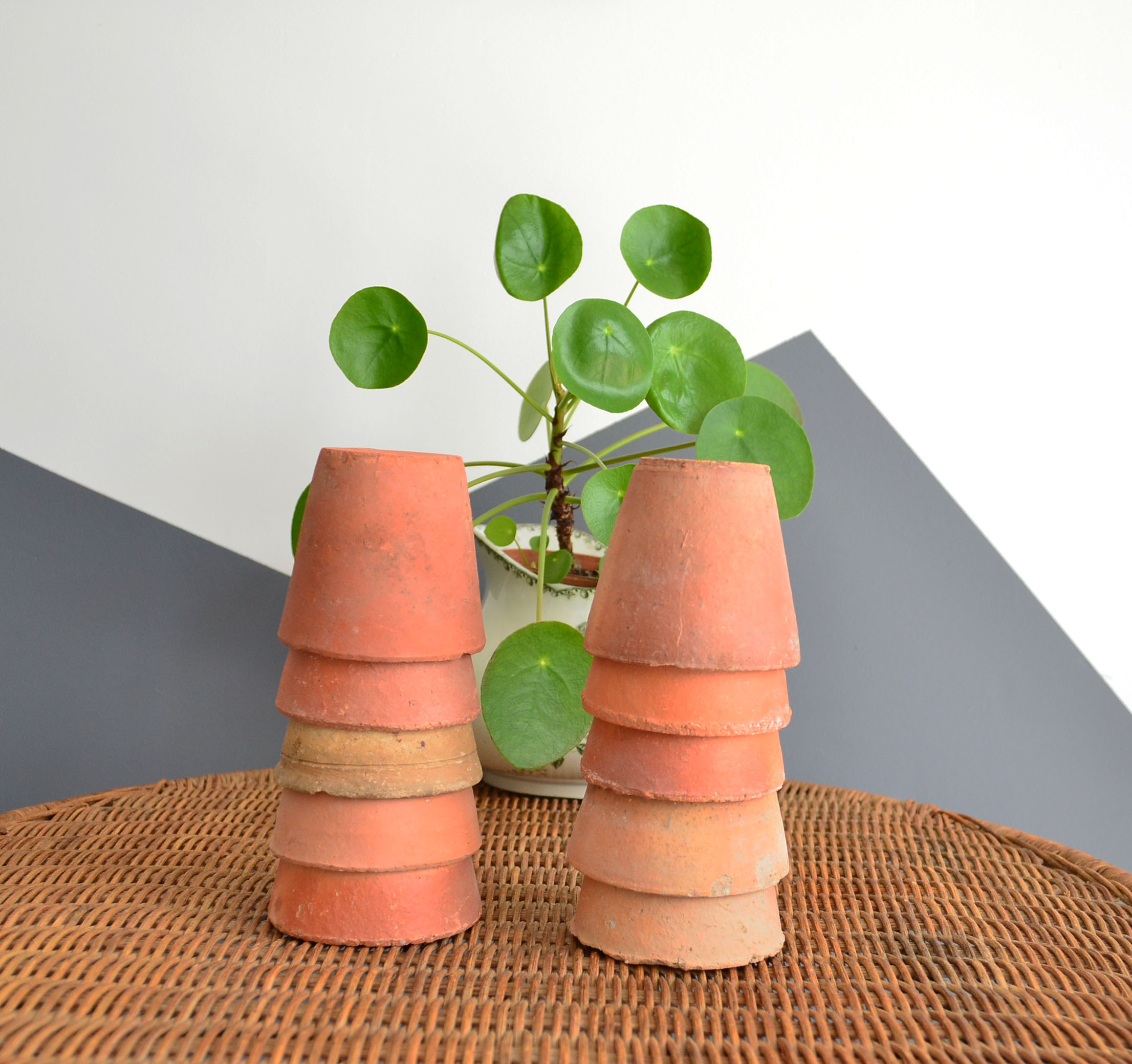 10 old terracotta seedling pots