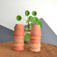10 old terracotta seedling pots