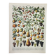 Gravure ancienne 1898, Fruits (de nos régions), variétés • Lithographie, illustration originale