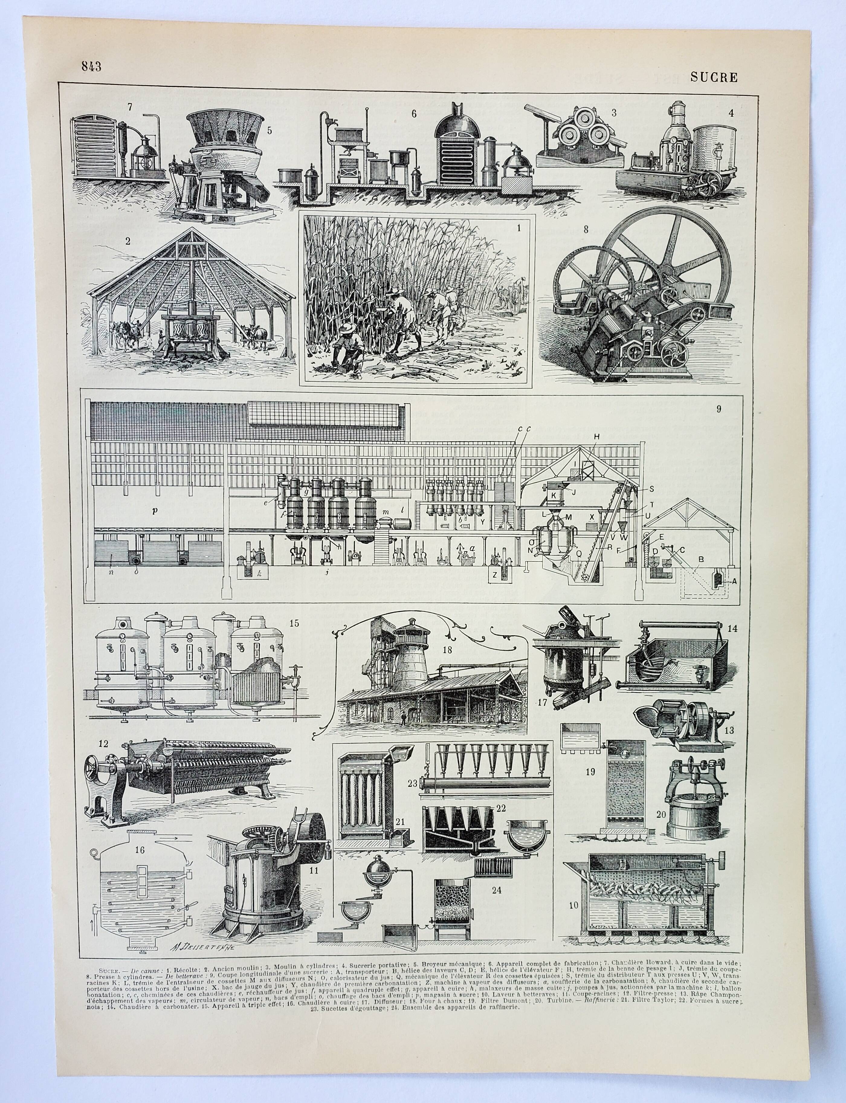 Gravure ancienne 1898, La fabrication du sucre, canne • Lithographie, Planche originale
