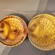 Vintage barbotine plates with fish decoration, 22 pieces.
