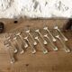 Guy Degrenne oyster forks