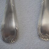 Fish service and its 6 silver-plated cutlery, crossed ribbon model
