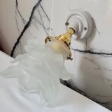 Glass and porcelain flower wall lamp