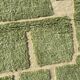 Magnificent new Beni ouarain water green carpet 200x300 cm