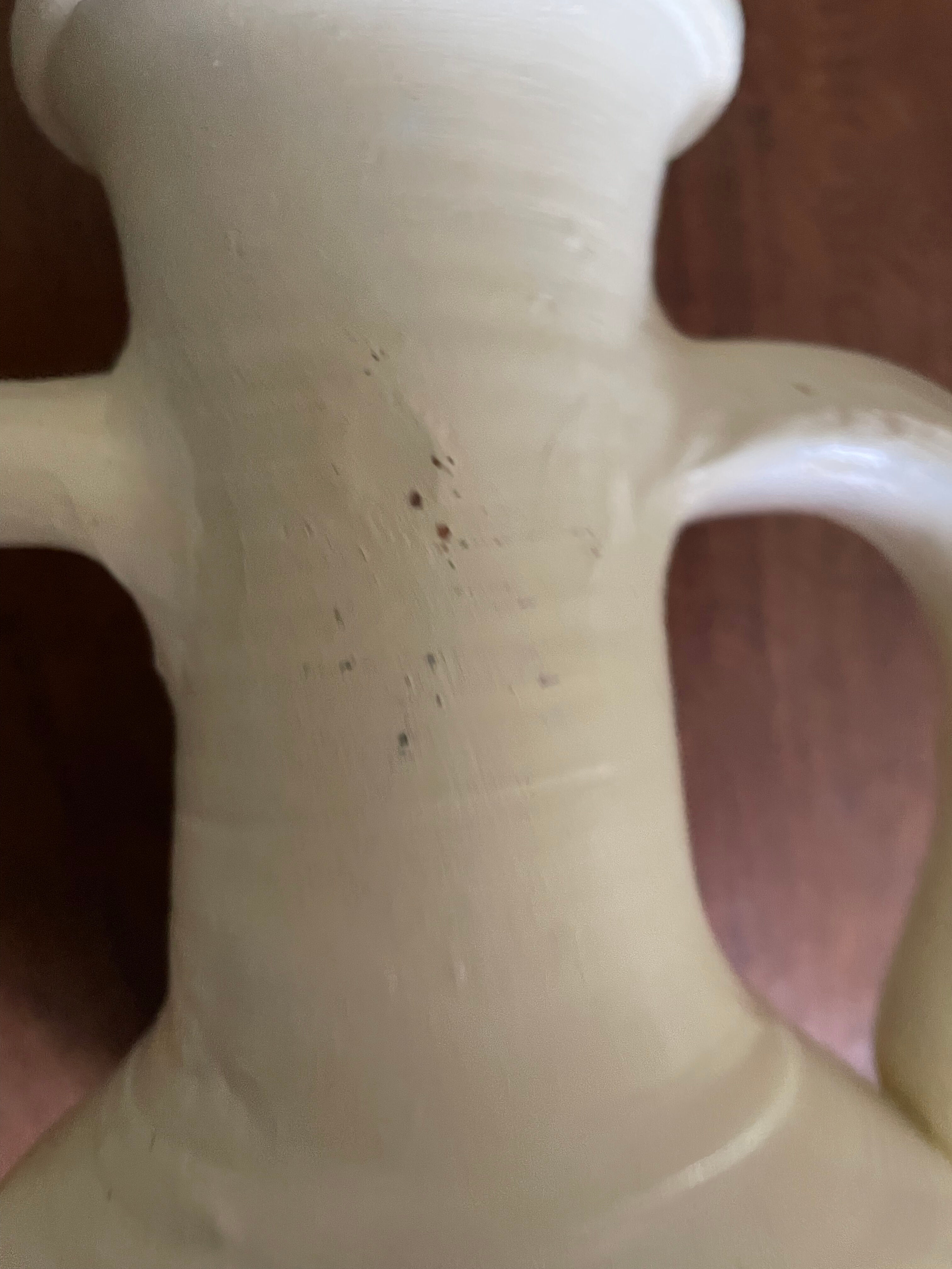 Terracotta amphora vase