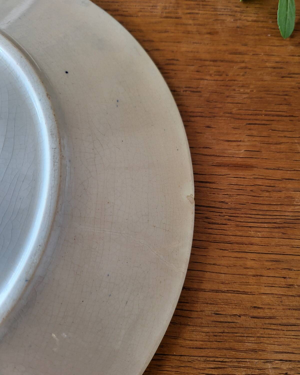 Old opaque porcelain plate gien terre de fer "laurels"