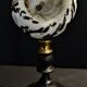 Cabinet of Curiosities cittarium pica shell on base