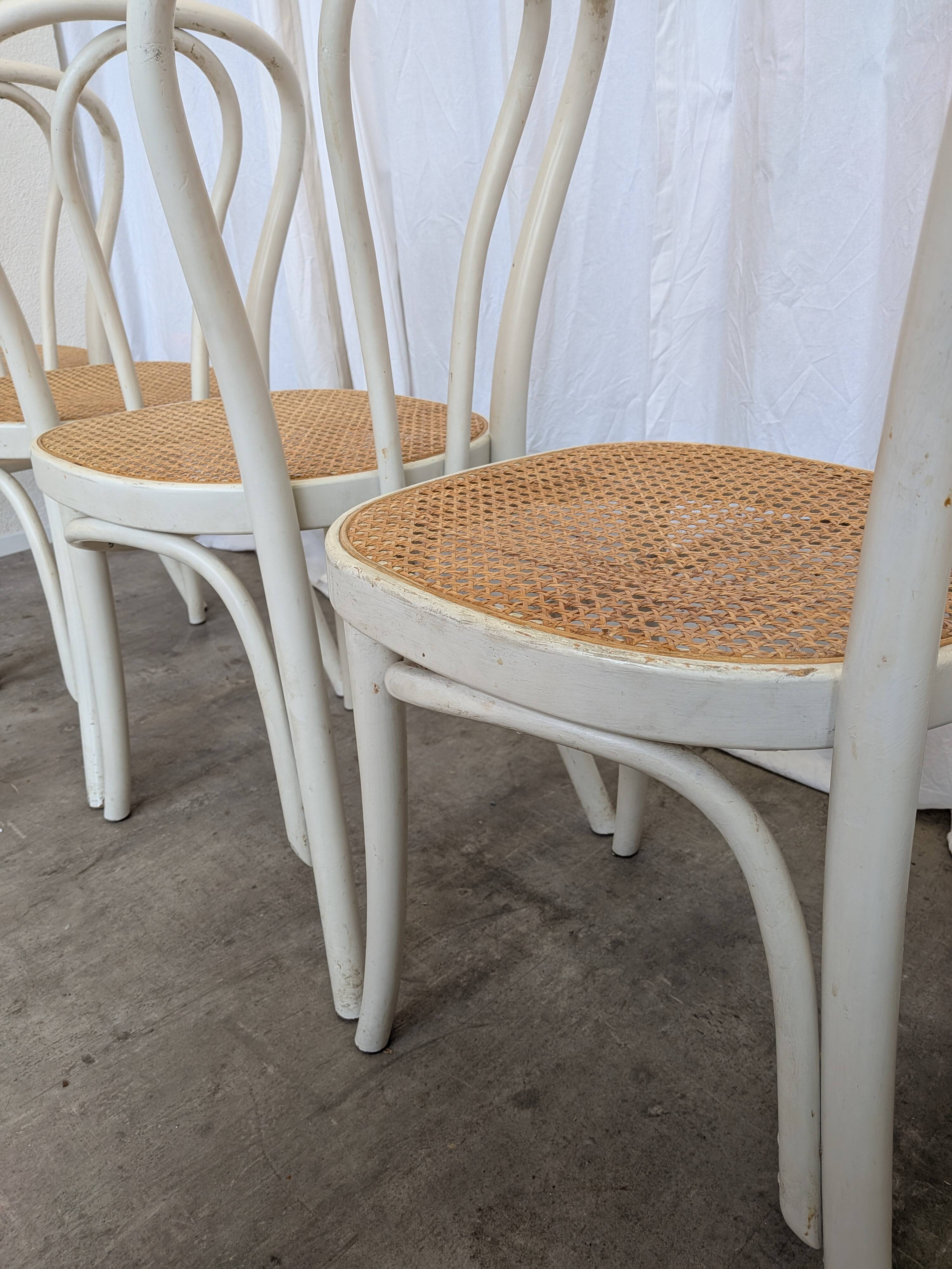 Ensemble de 6 chaises de salle à manger vintage de style Thonet : bois blanc et assise en cannage.