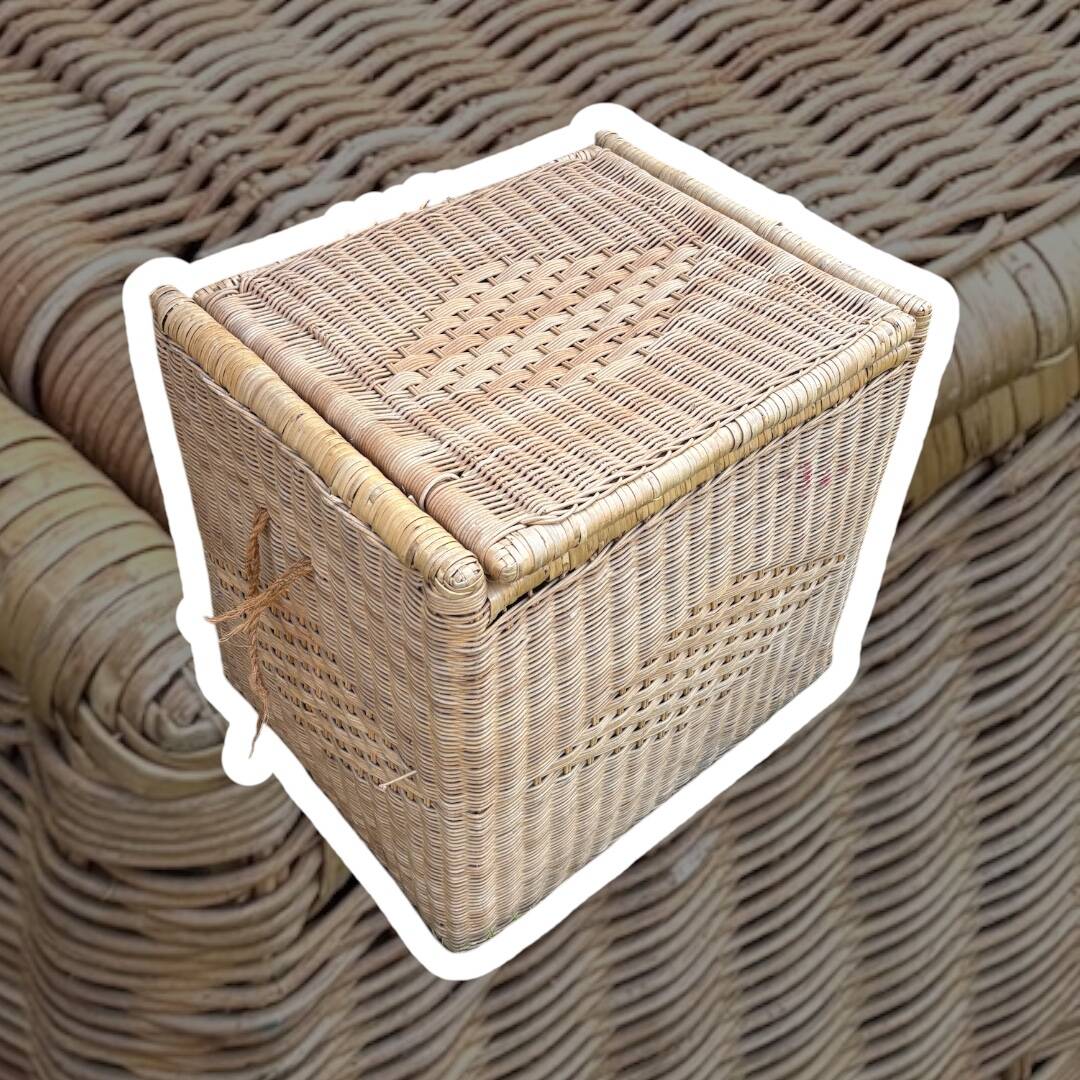 Vintage rattan and wicker trunk, chest